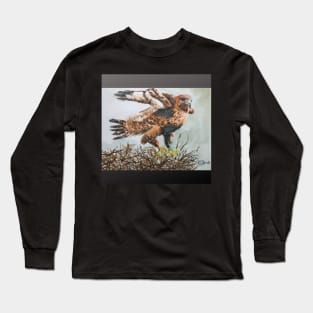 American Eagle Long Sleeve T-Shirt